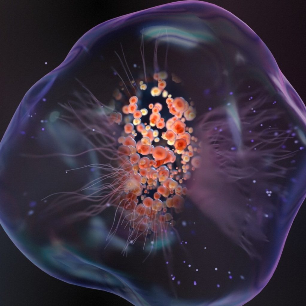 The Science - Innovita RBT Therapeutics